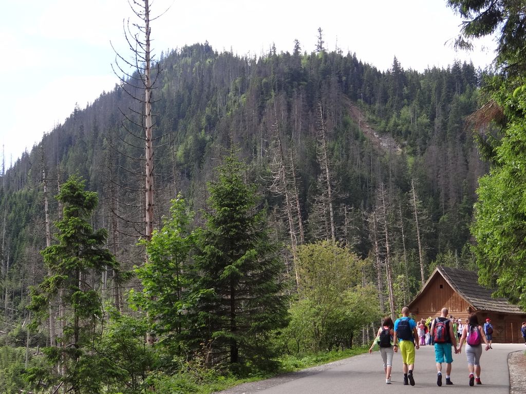 Photo №2 of Limbowa Ściana