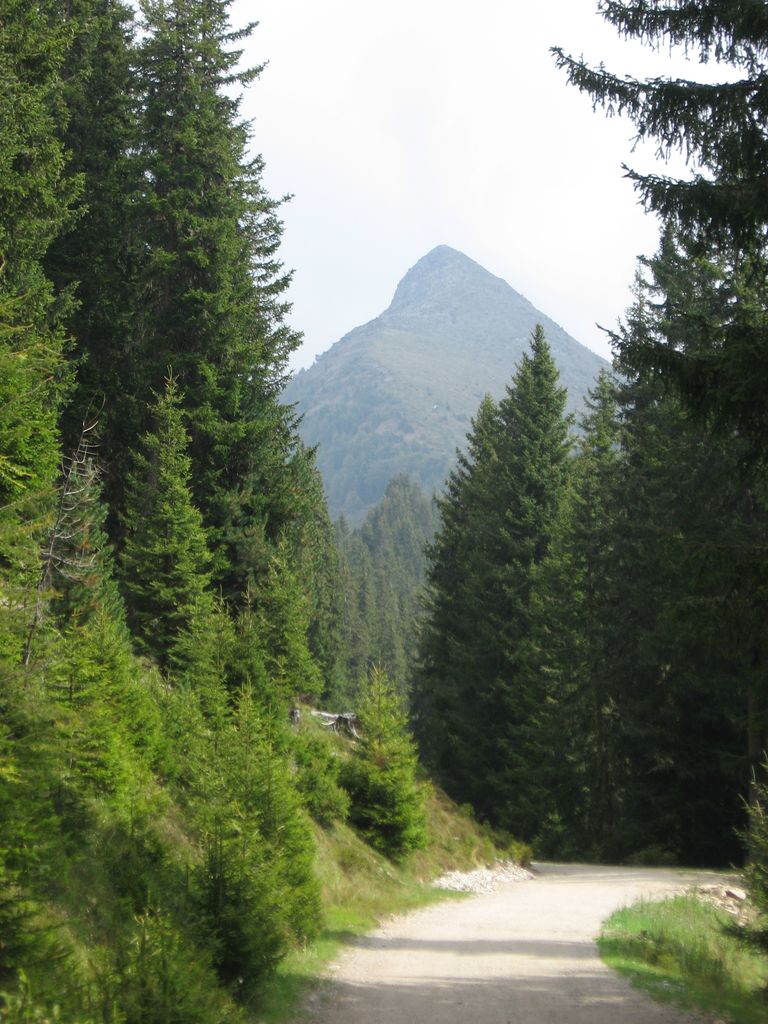 Photo №4 of Rudlhorn - Roda di Scandole