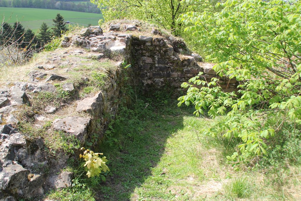 Photo №2 of Beilstein