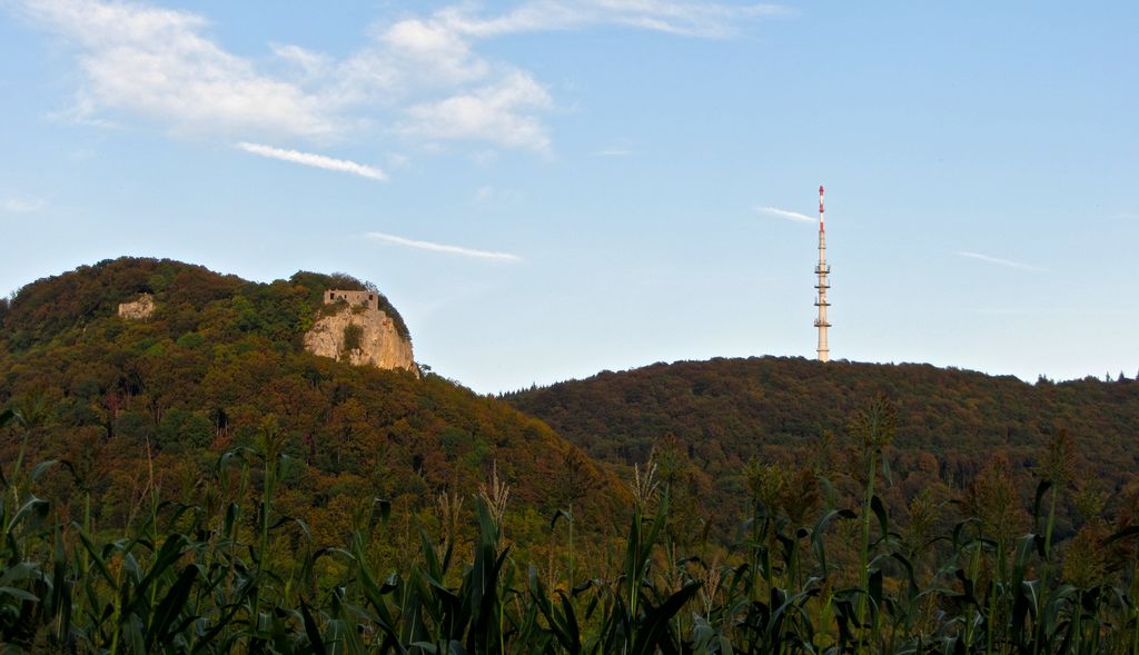 Photo №3 of Glasenberg