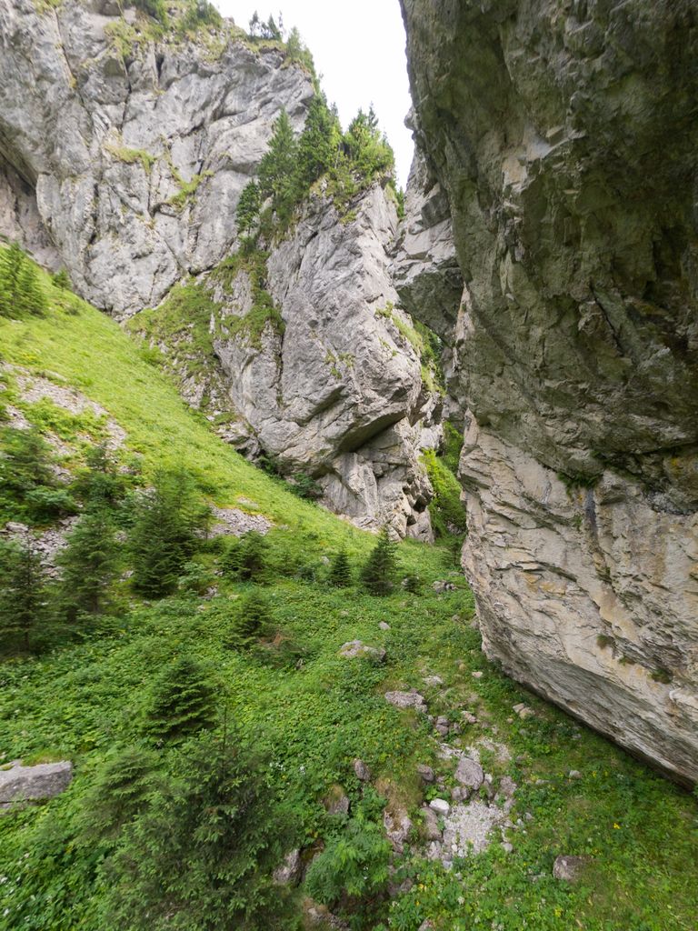Photo №3 of Baszta
