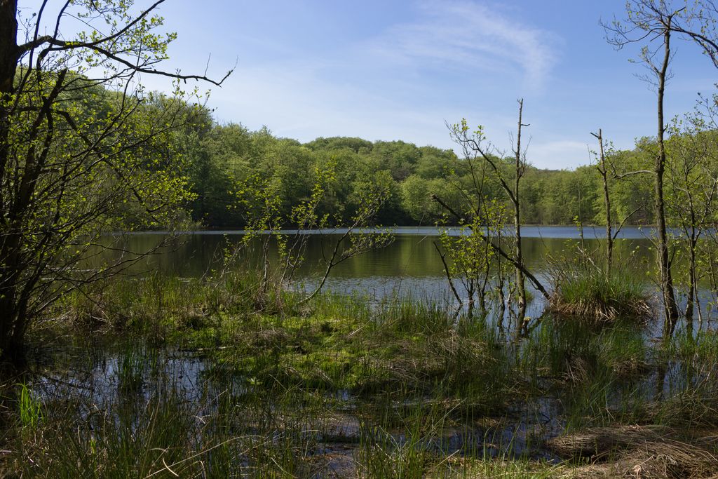 Schwarzer See