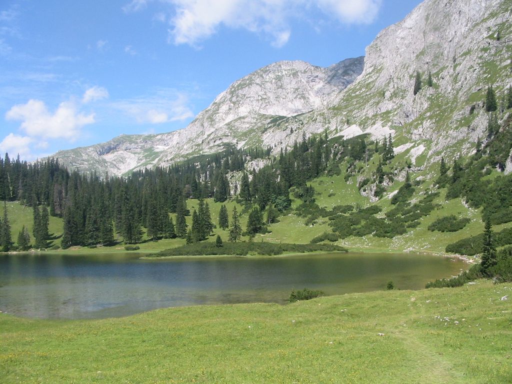 Photo №2 of Sackwiesensee