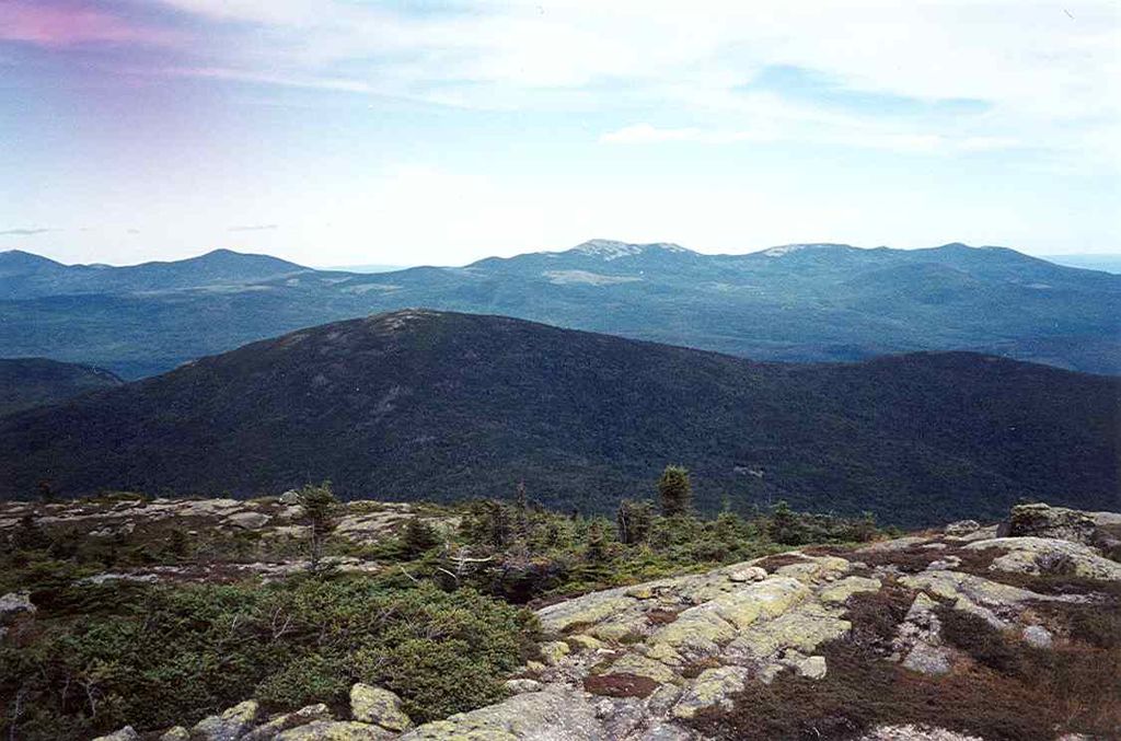 Photo №2 of Saddleback Junior
