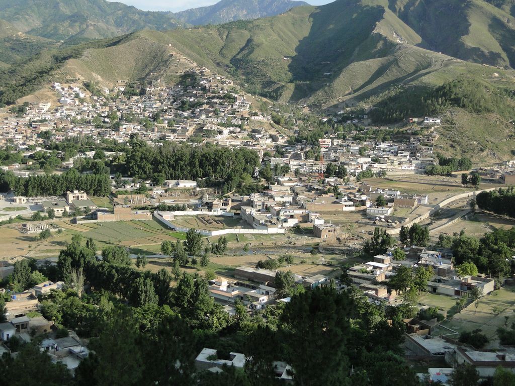 Photo №2 of Saidu Sharif