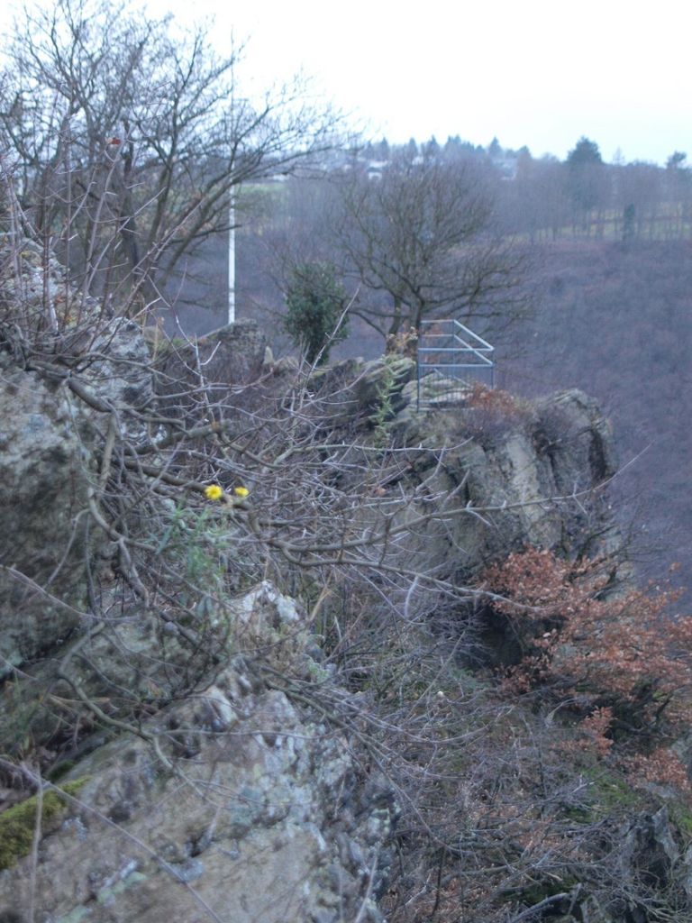 Photo №9 of Loreley