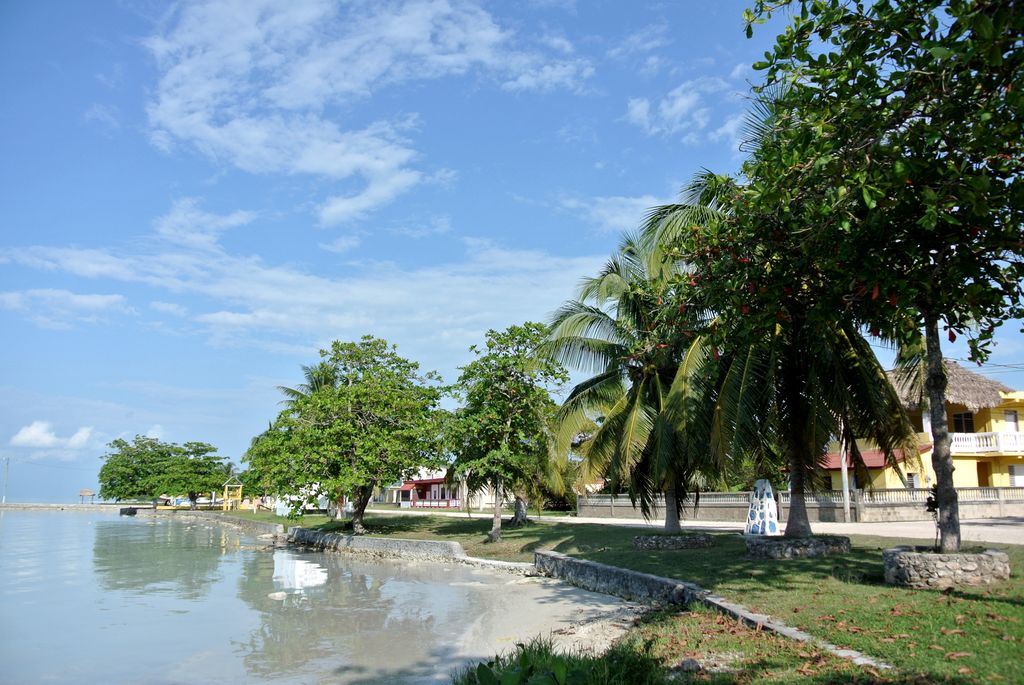 Photo №2 of Sarteneja