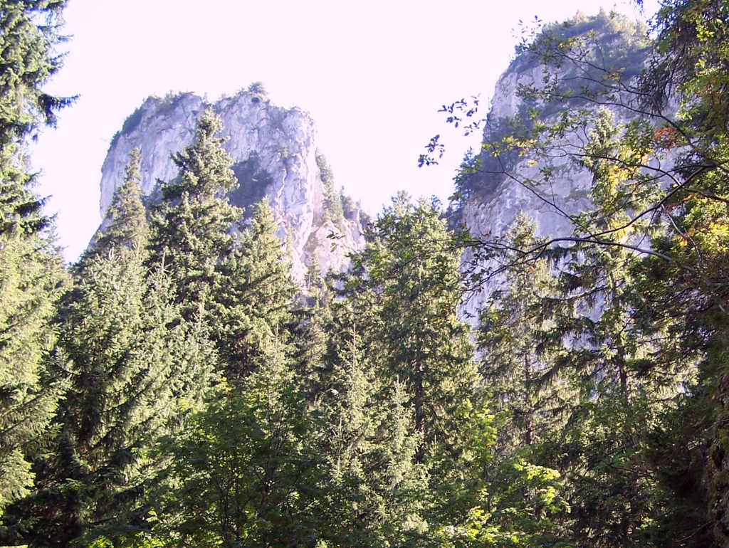 Photo №2 of Ratusz