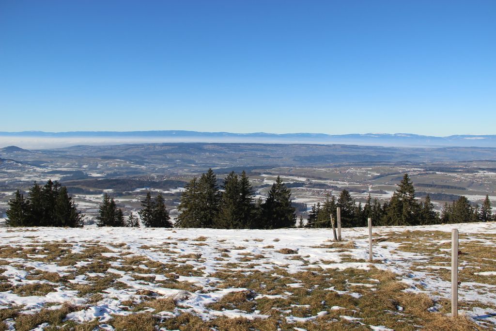 Photo №7 of Petit Niremont