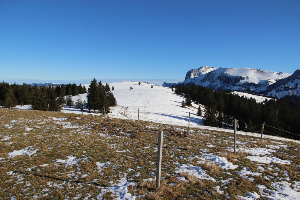 Photo №10 of Petit Niremont