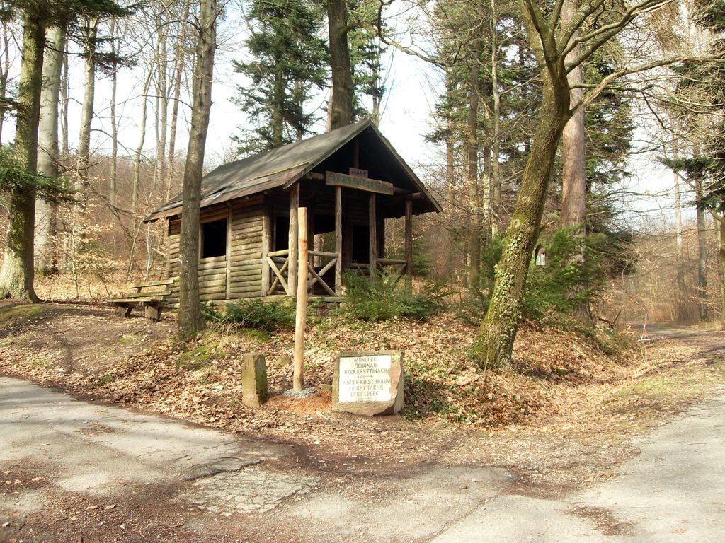 Sch%C3%B6nau_-_Sitzbuche_2013-03-10_15-26-27