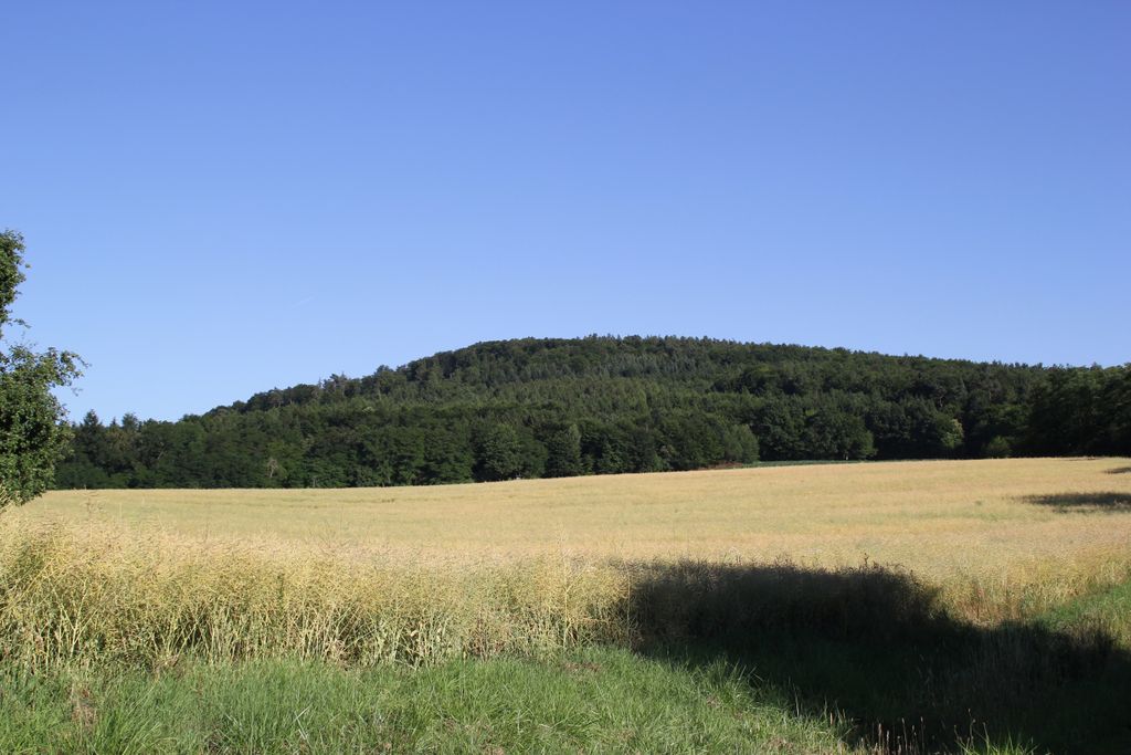 Photo №7 of Schanzenkopf