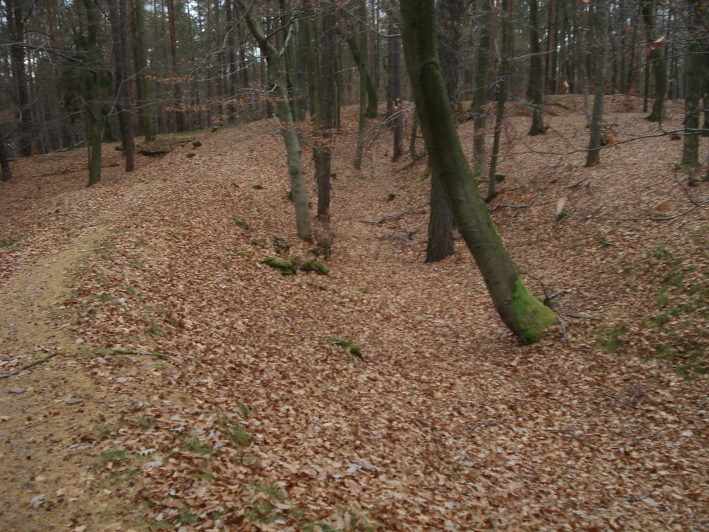Photo №6 of Schanzenkopf