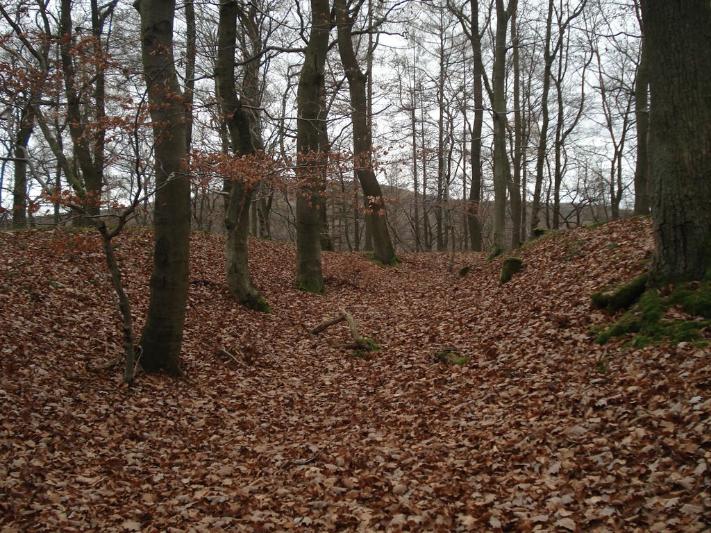 Photo №3 of Schanzenkopf