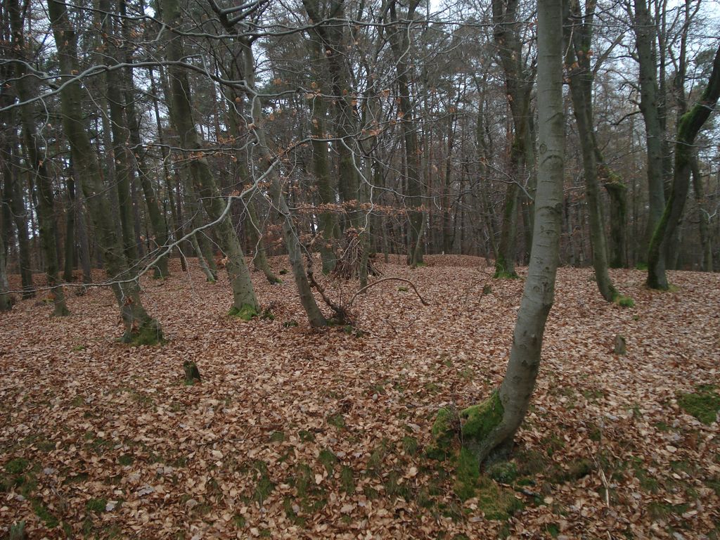 Photo №4 of Schanzenkopf