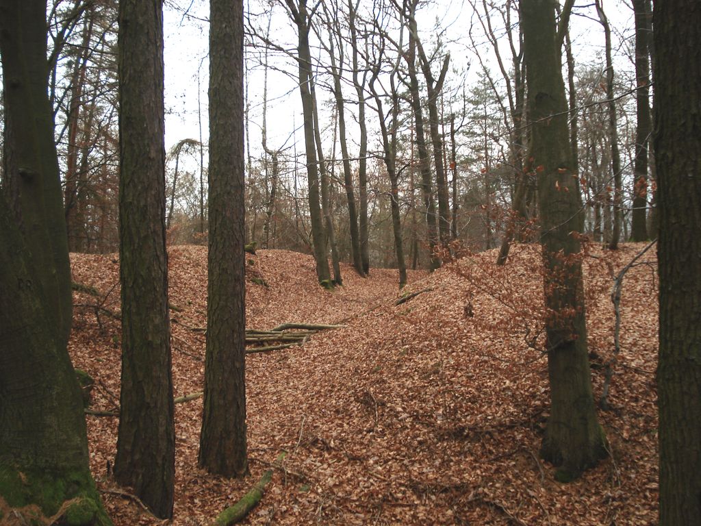 Photo №5 of Schanzenkopf