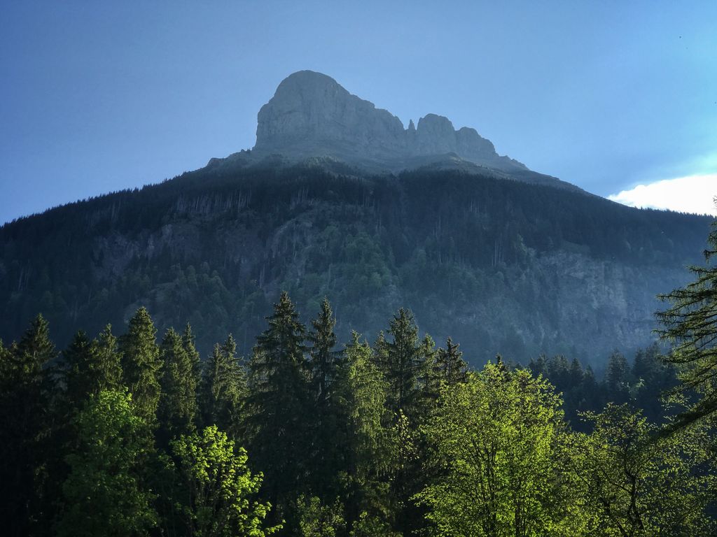 Schibengütsch