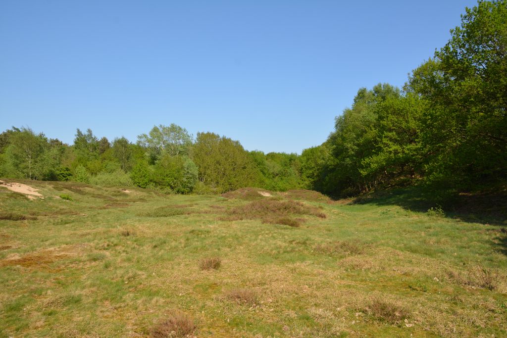 Photo №2 of Rüsterberg