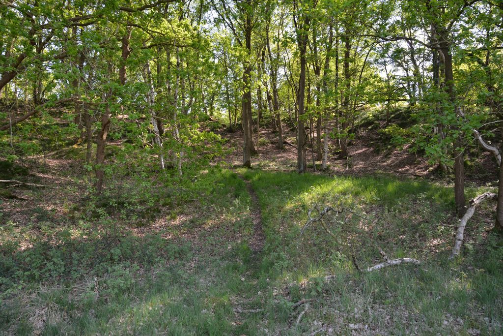 Photo №3 of Rüsterberg