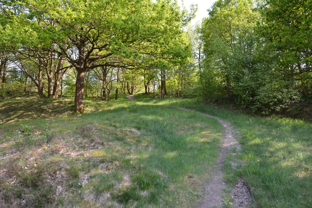 Photo №4 of Rüsterberg