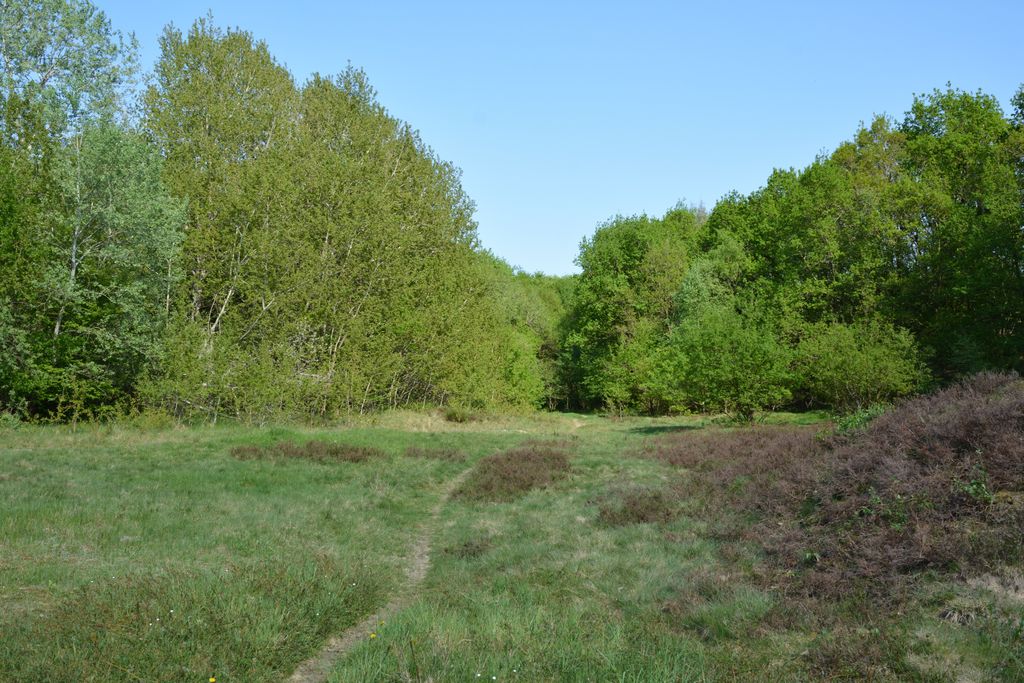 Photo №5 of Rüsterberg