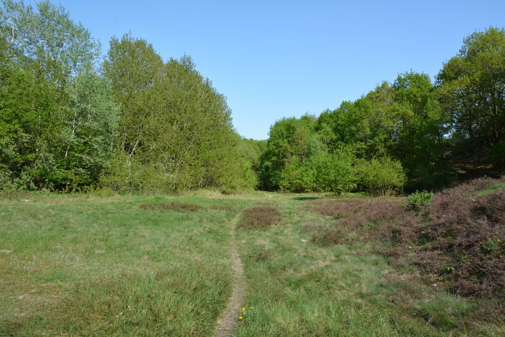 Photo №6 of Rüsterberg