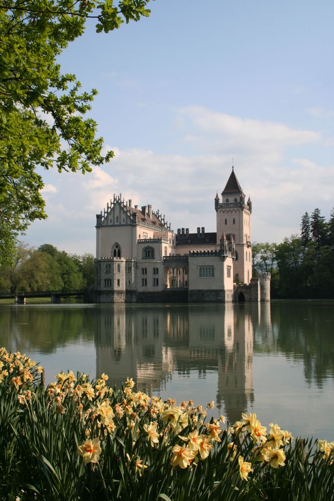 Photo №2 of Schloss Anif