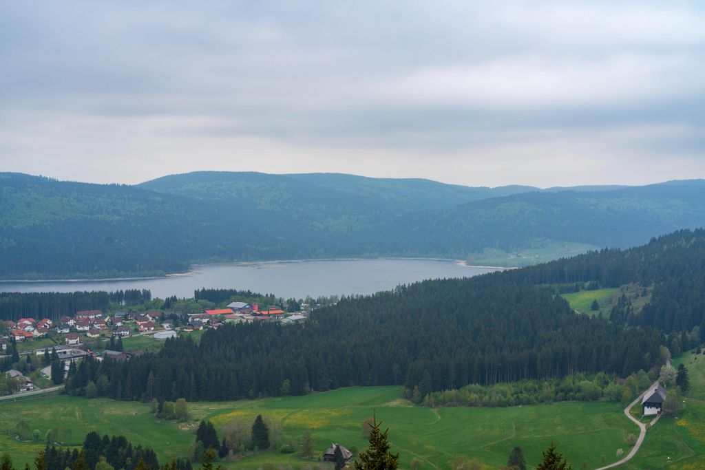 Riesenbühl