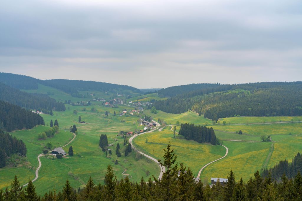 Riesenbühl