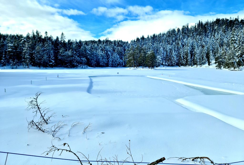 Photo №3 of Möserer See