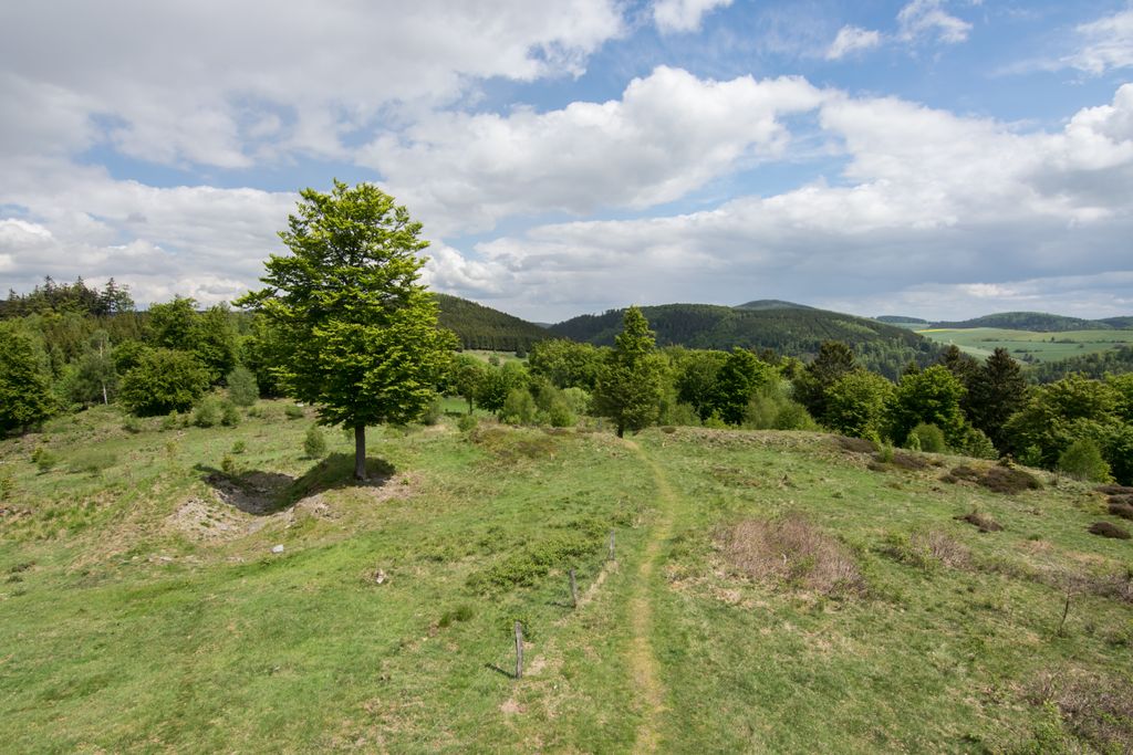 Photo №2 of Schwalenburg