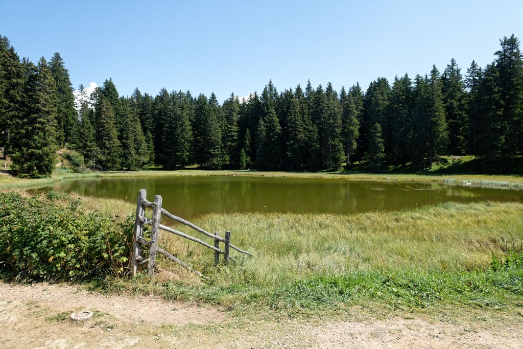 Photo №4 of Schwarze Lacke - Pozza nera