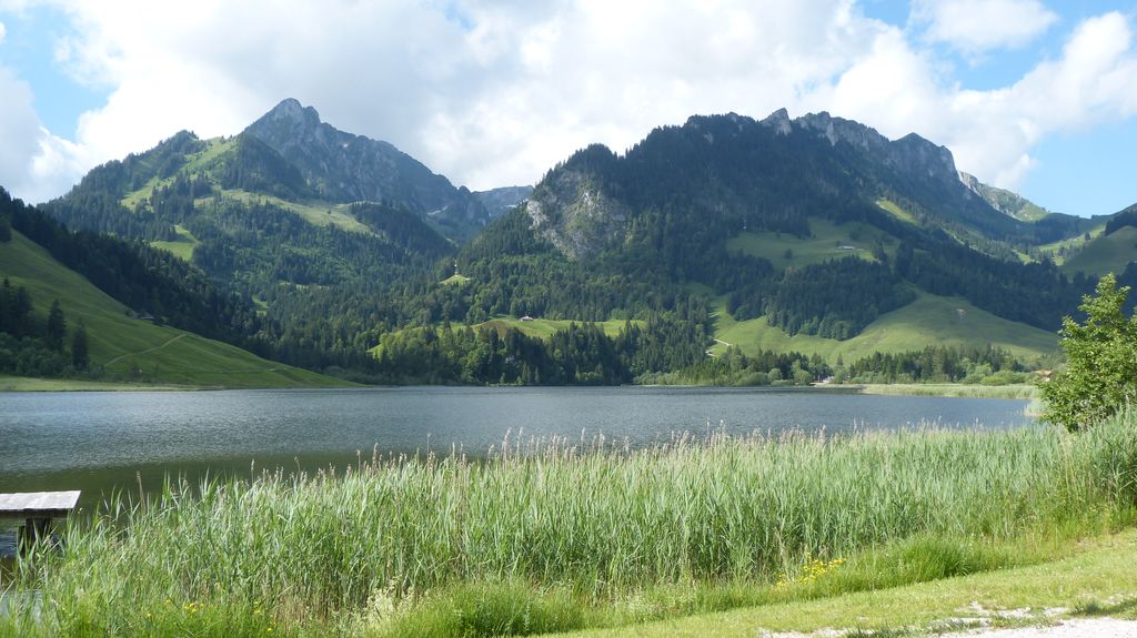 Photo №4 of Schwarzsee