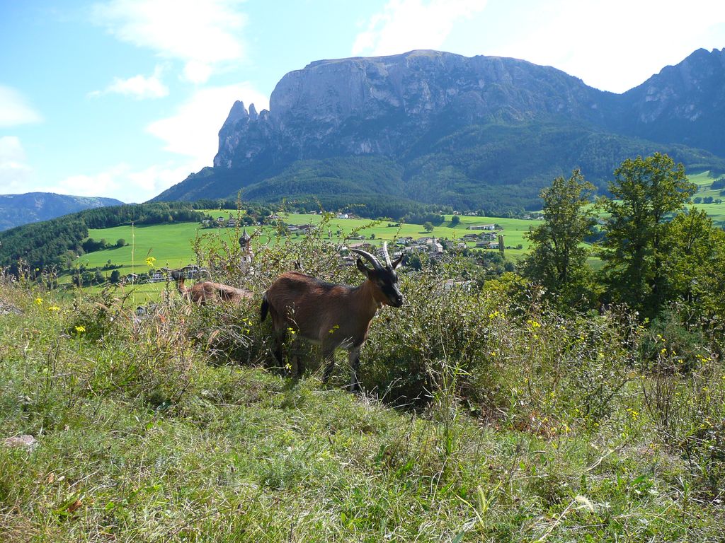 Photo №3 of Colle S. Pietro