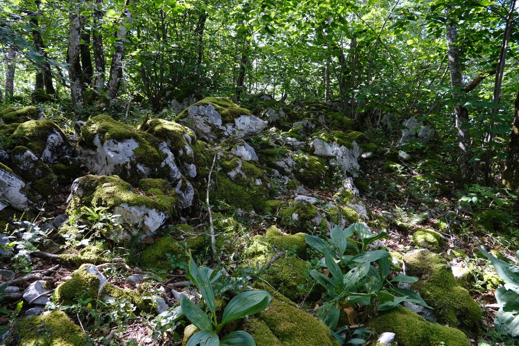 Photo №3 of Mamelon de Beauregard