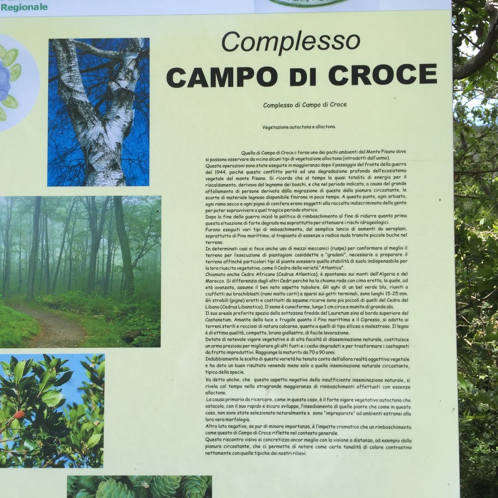 Campo di Croce