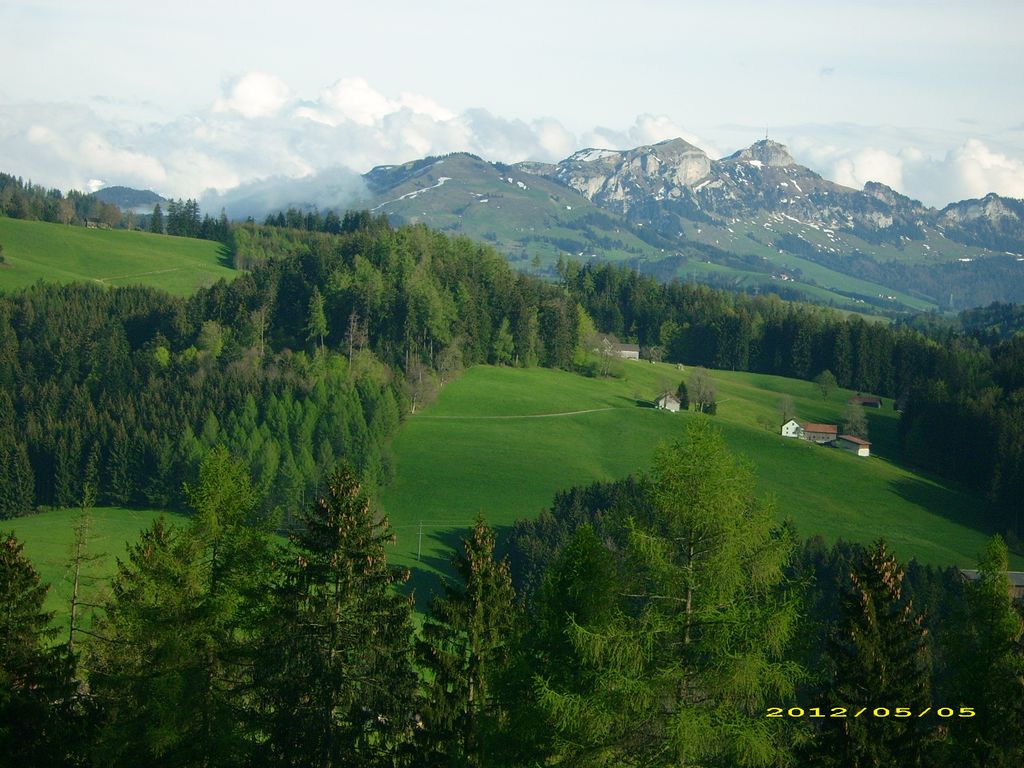 Photo №3 of Waldegg