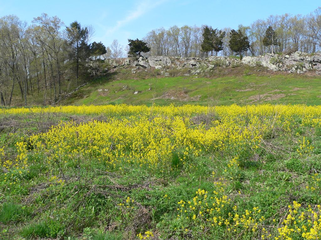 Photo №2 of Signal Hill