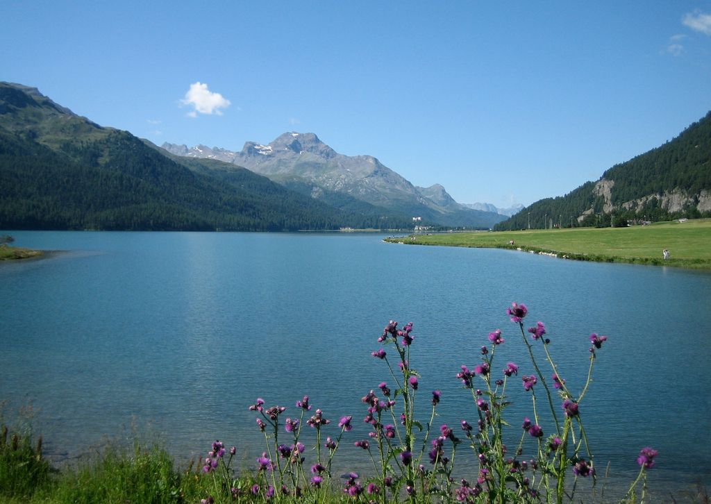 Photo №6 of Lake Silvaplana