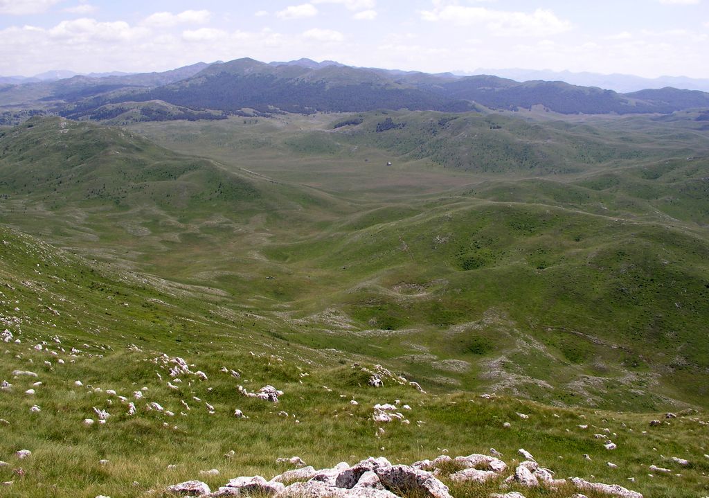 Photo №2 of Sniježnica