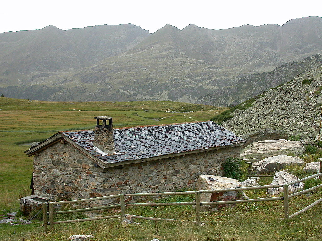 Siscaro