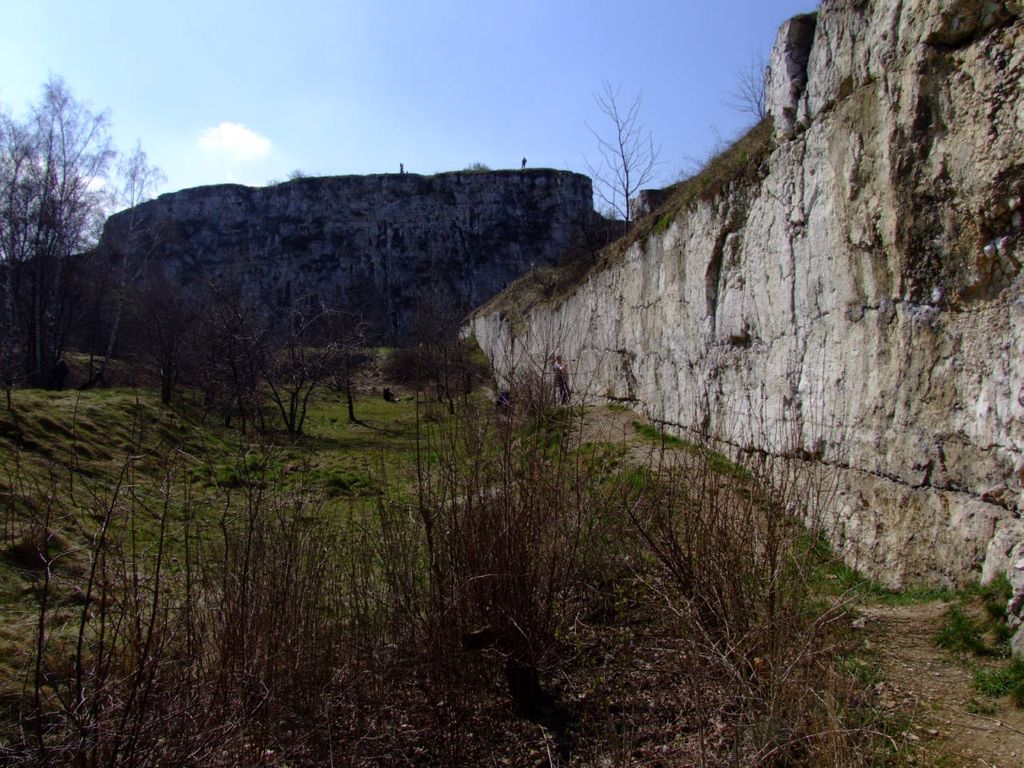 Krzemionki Zakrzowskie