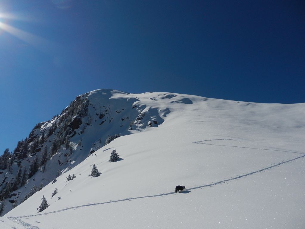 Photo №4 of Cimon del To della Trappola