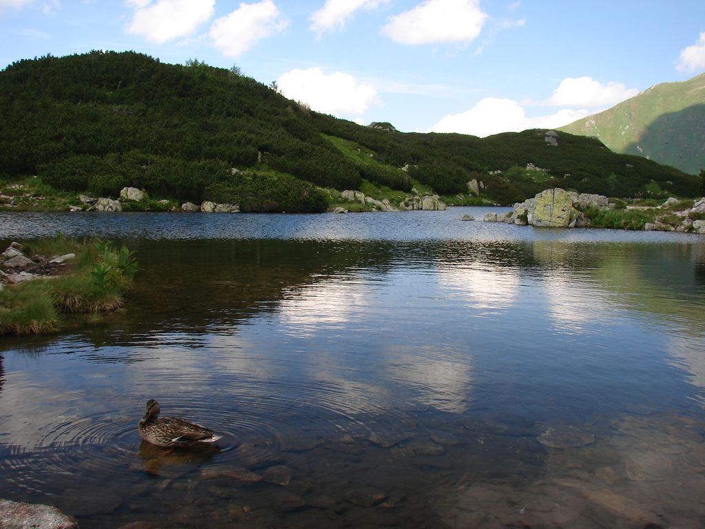 Photo №5 of Štvrté Roháčske pleso