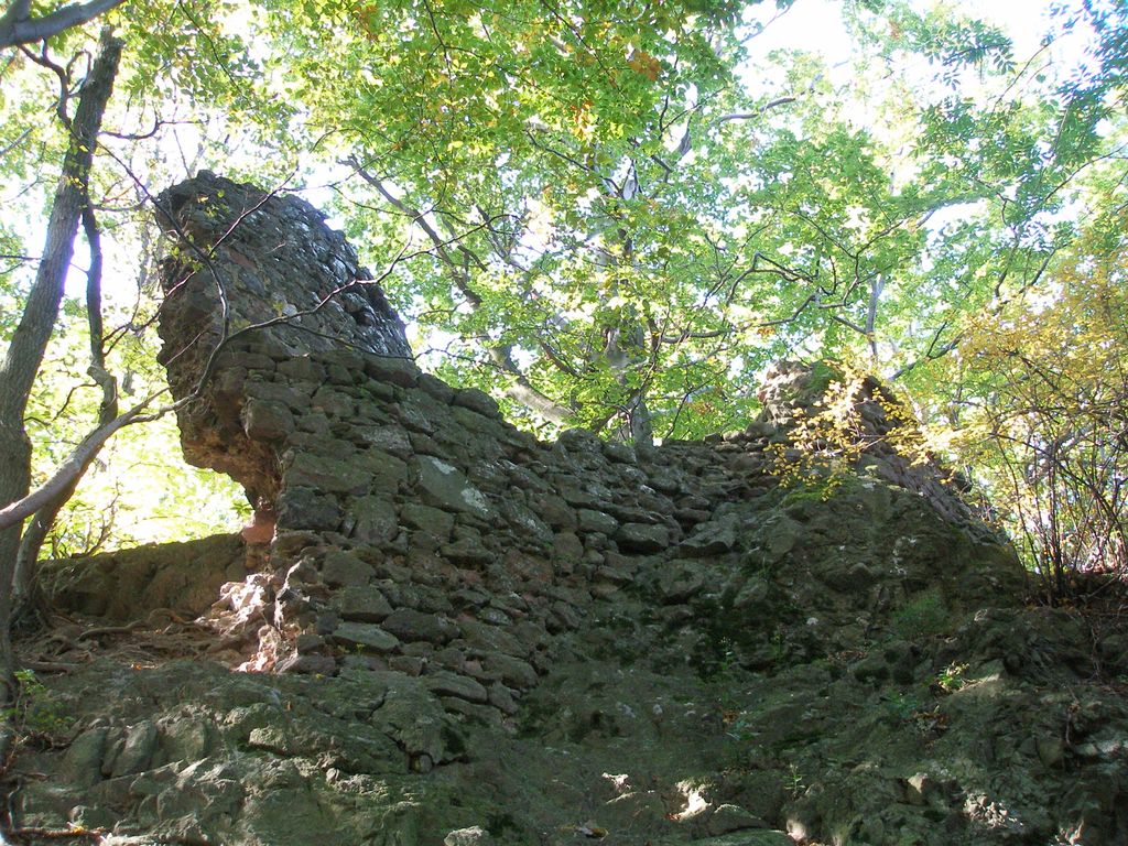 Photo №2 of Zámek