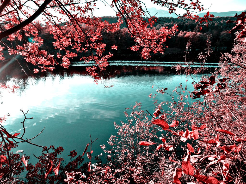 Photo №3 of Kleiner Montiggler See - Lago Piccolo di Monticolo