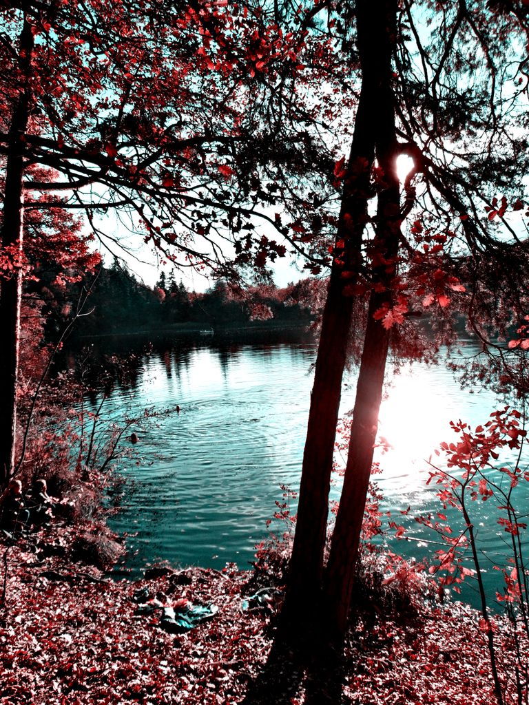 Photo №4 of Kleiner Montiggler See - Lago Piccolo di Monticolo