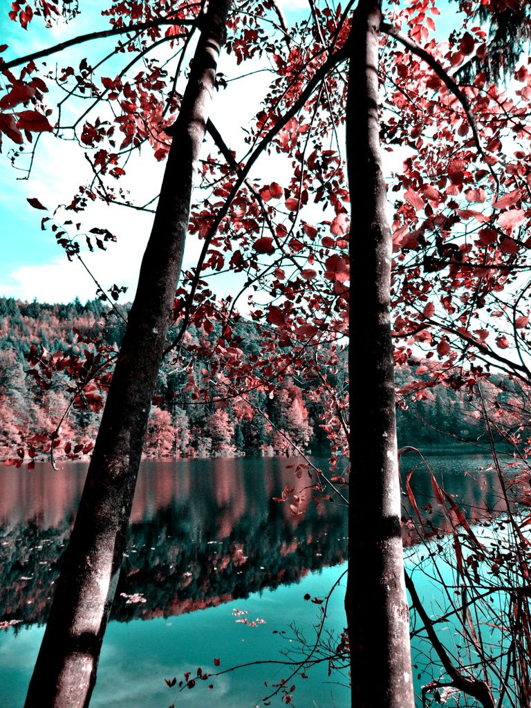 Photo №5 of Kleiner Montiggler See - Lago Piccolo di Monticolo