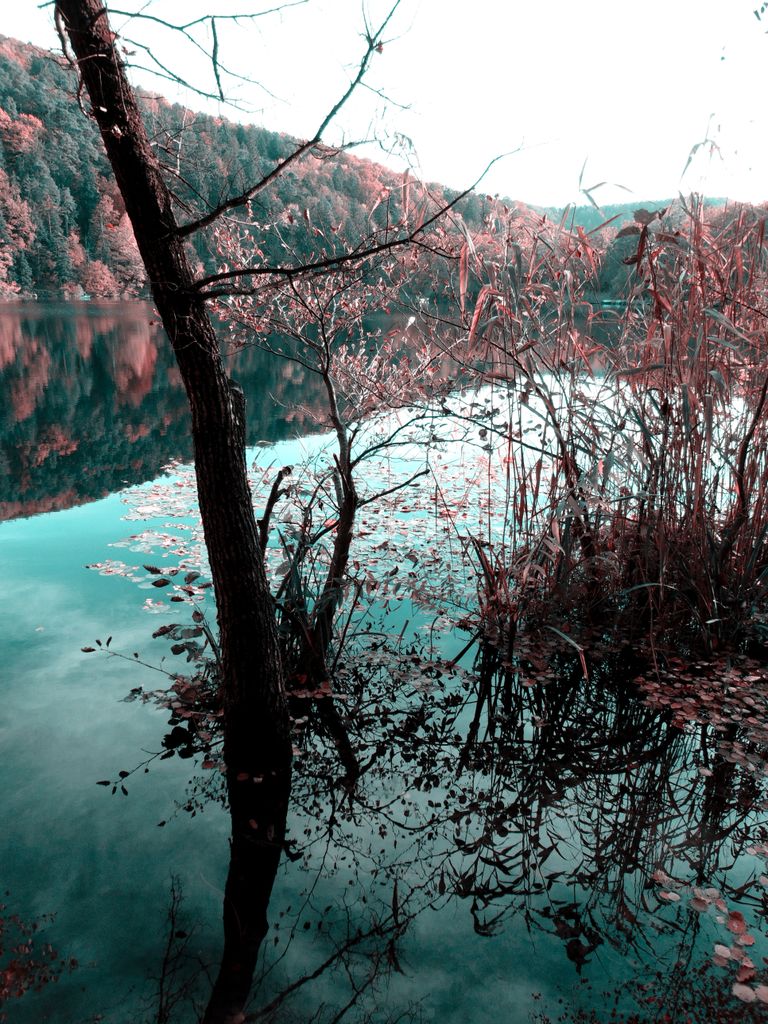 Photo №6 of Kleiner Montiggler See - Lago Piccolo di Monticolo