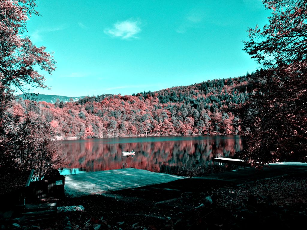 Photo №7 of Kleiner Montiggler See - Lago Piccolo di Monticolo